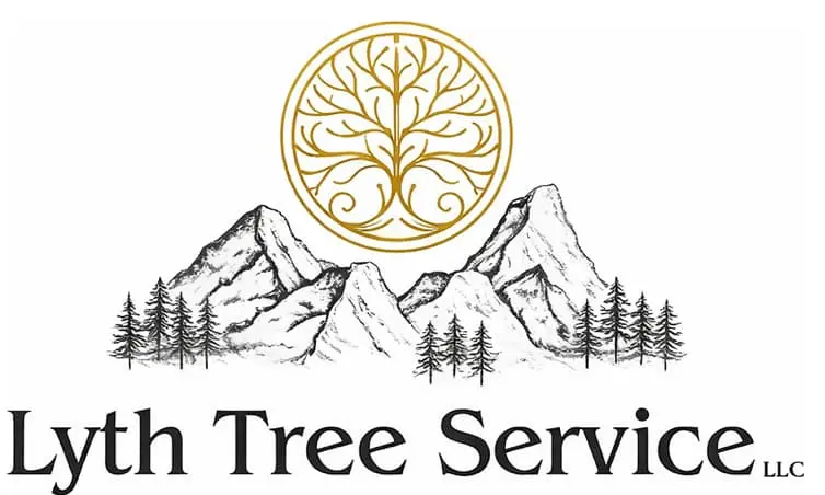 Lyth Tree Service | Professional Tree Care